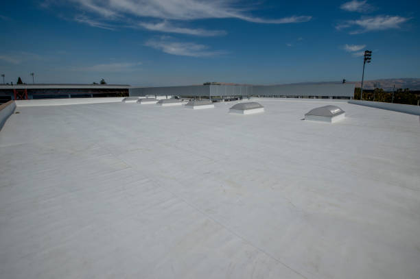 Best Roof Maintenance and Cleaning  in Camn, DE