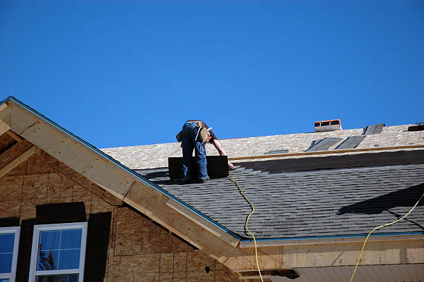 Best Rubber Roofing (EPDM, TPO)  in Camn, DE