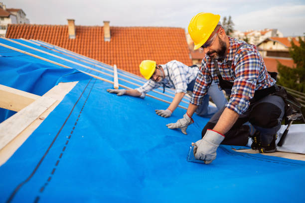 Best Chimney Flashing Repair  in Camn, DE