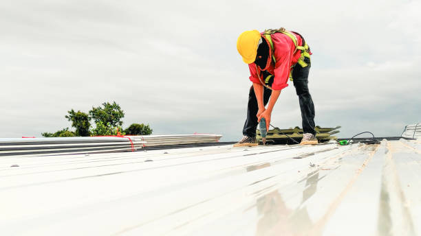 Best Roof Ventilation Installation  in Camn, DE